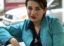 თაღლითი ადვოკატები ელისო რუხაძე შოთა ციციშვილის და ბაბუცა პატარიას მიმართ 